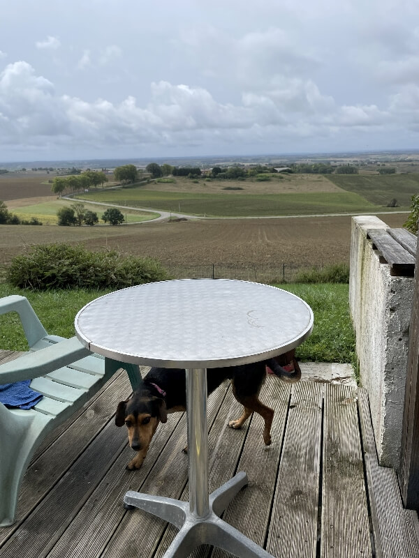 Blogartikel 12 von 12: Terrasse bei schlechtem Wetter